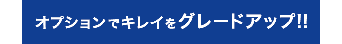 オプションでキレイをグレードアップ