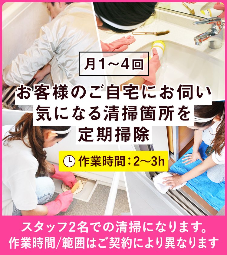 定期清掃サービス